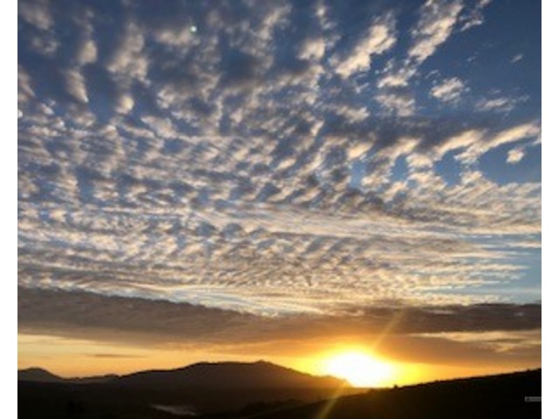 Millaa Millaa QLD 4886