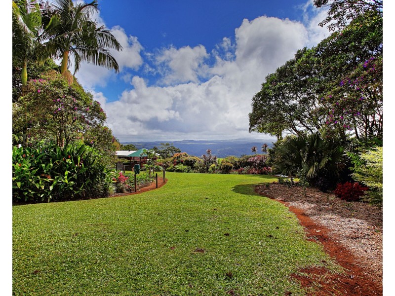 Millaa Millaa QLD 4886