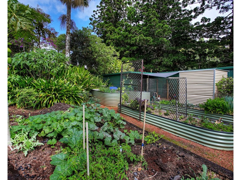 Millaa Millaa QLD 4886