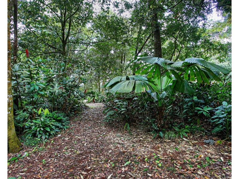 Millaa Millaa QLD 4886