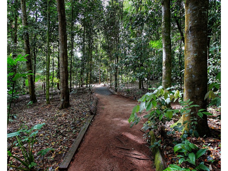 Millaa Millaa QLD 4886