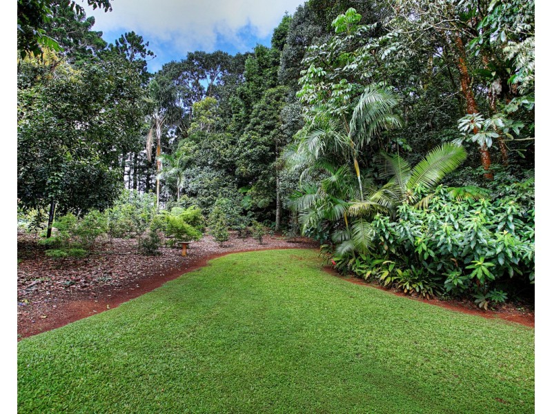 Millaa Millaa QLD 4886