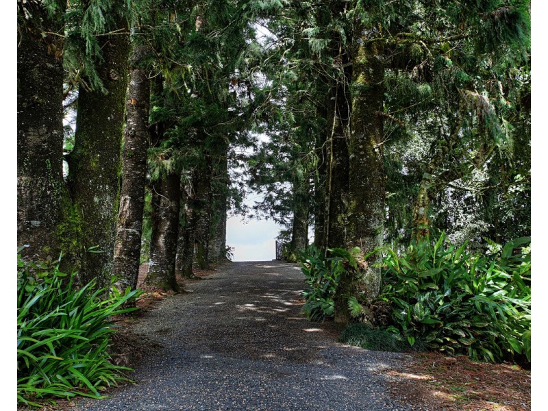 Millaa Millaa QLD 4886