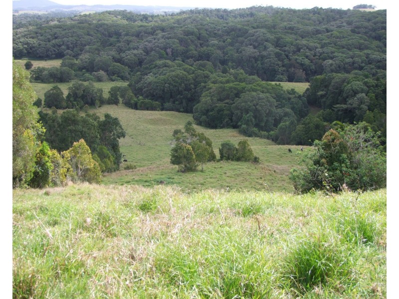 Millaa Millaa QLD 4886