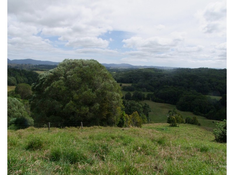Millaa Millaa QLD 4886