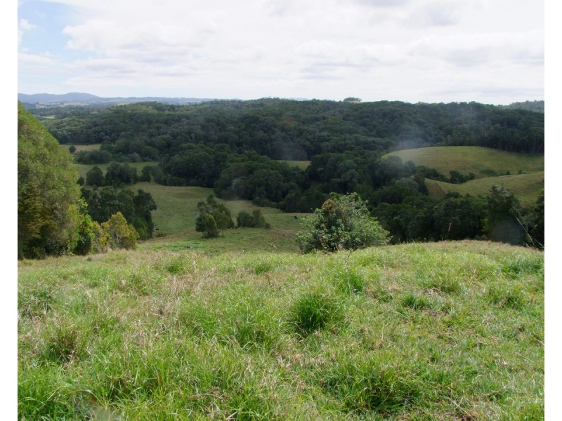 Millaa Millaa QLD 4886