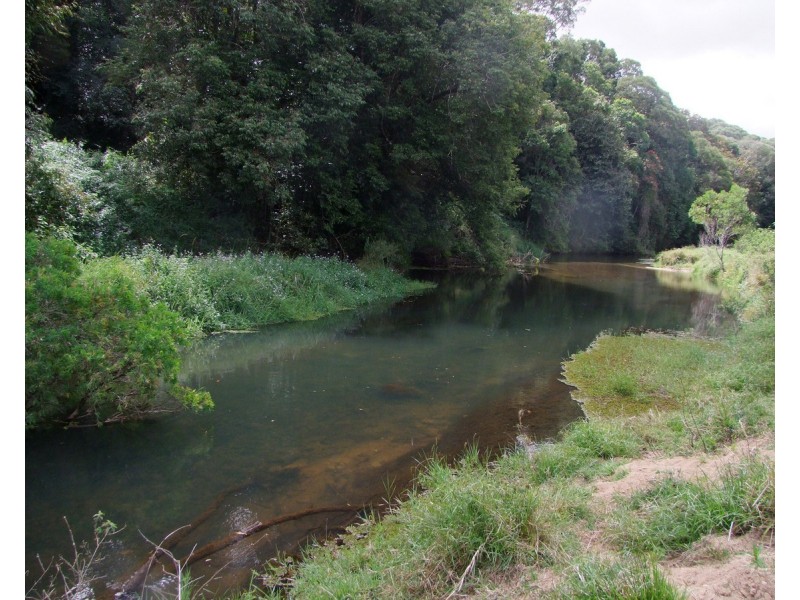 Millaa Millaa QLD 4886