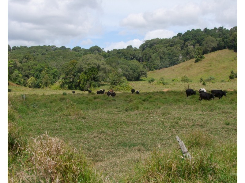 Millaa Millaa QLD 4886