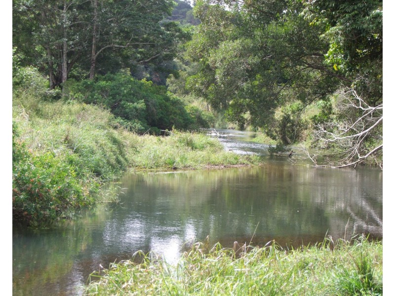 Millaa Millaa QLD 4886