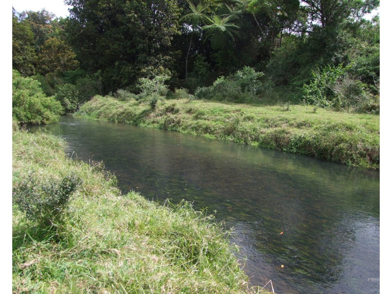 Millaa Millaa QLD 4886