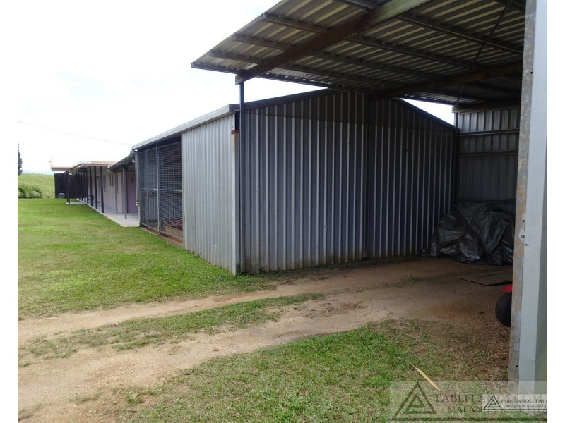 Lake Barrine QLD 4884