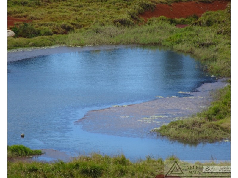 Lake Barrine QLD 4884