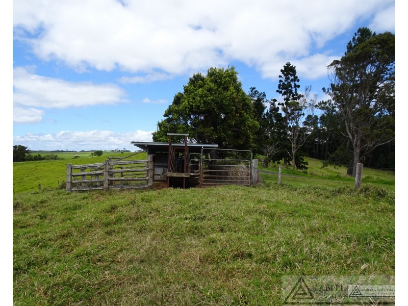 Lake Barrine QLD 4884