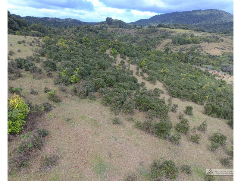 Millaa Millaa QLD 4886