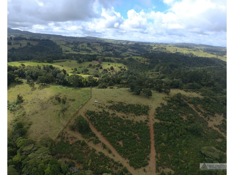 Millaa Millaa QLD 4886