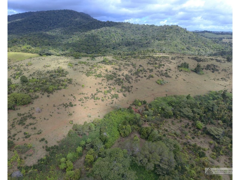 Millaa Millaa QLD 4886