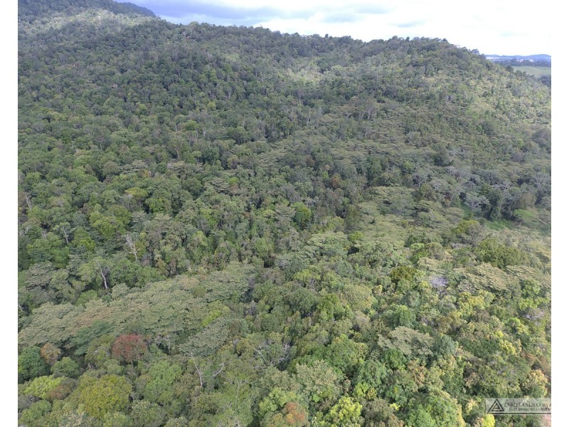 Millaa Millaa QLD 4886