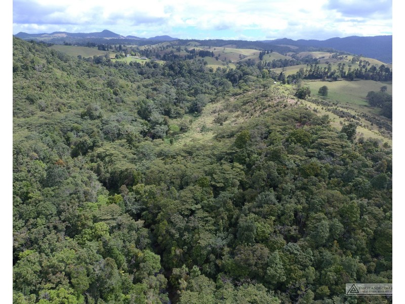 Millaa Millaa QLD 4886