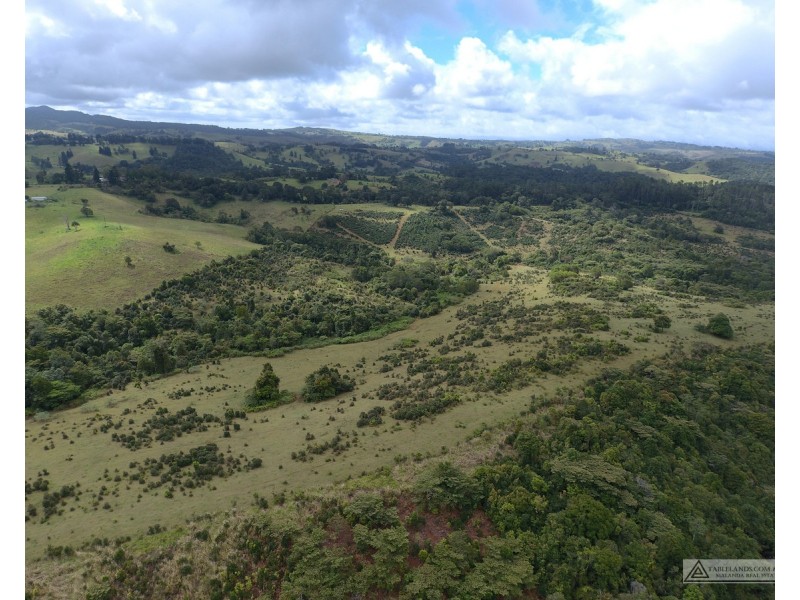 Millaa Millaa QLD 4886