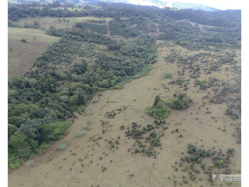 Millaa Millaa QLD 4886