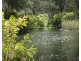 Millstream QLD 4888