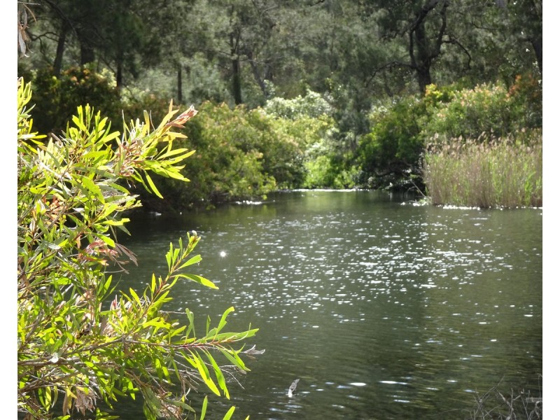 Millstream QLD 4888