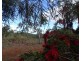 Millstream QLD 4888