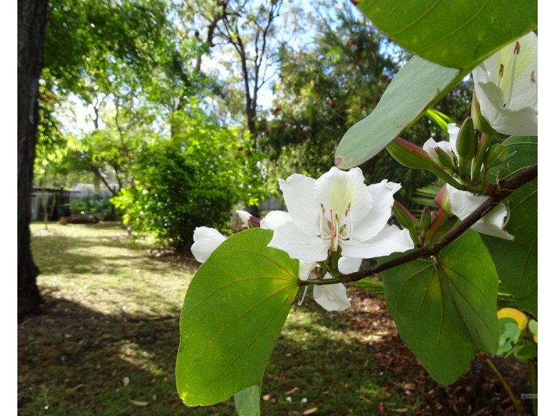 Millstream QLD 4888