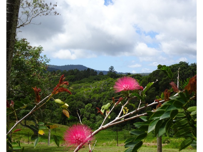 Kuranda QLD 4881