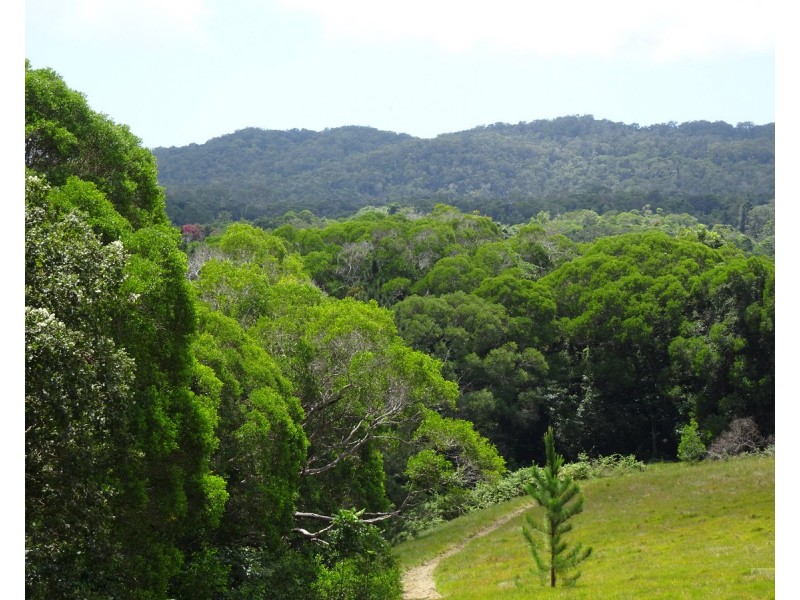 Kuranda QLD 4881