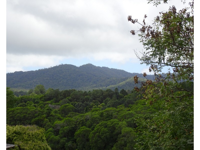Kuranda QLD 4881