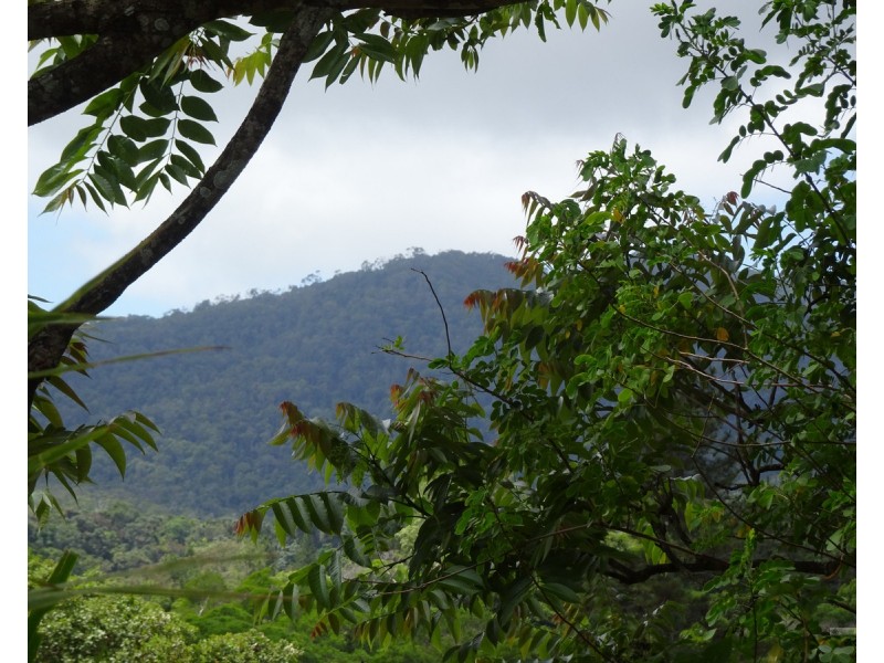 Kuranda QLD 4881
