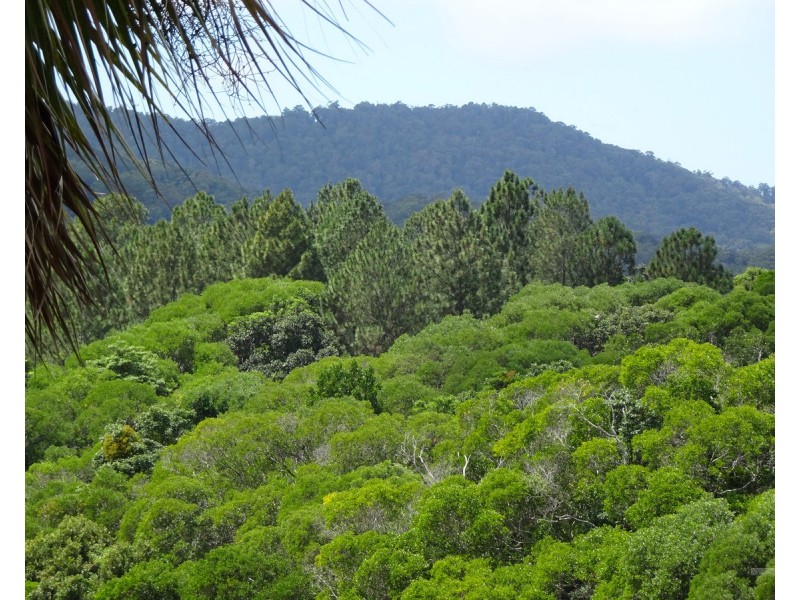 Kuranda QLD 4881