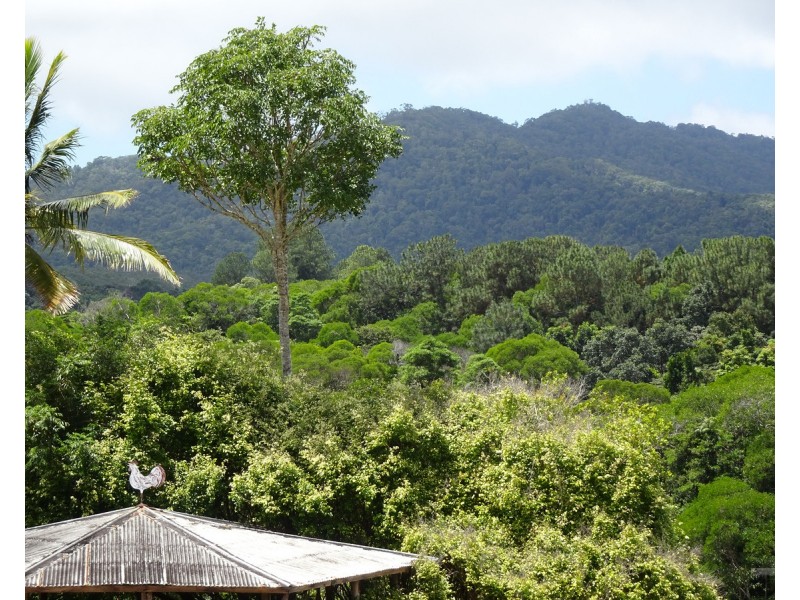Kuranda QLD 4881