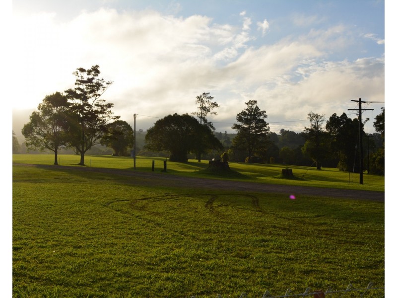 Millaa Millaa QLD 4886