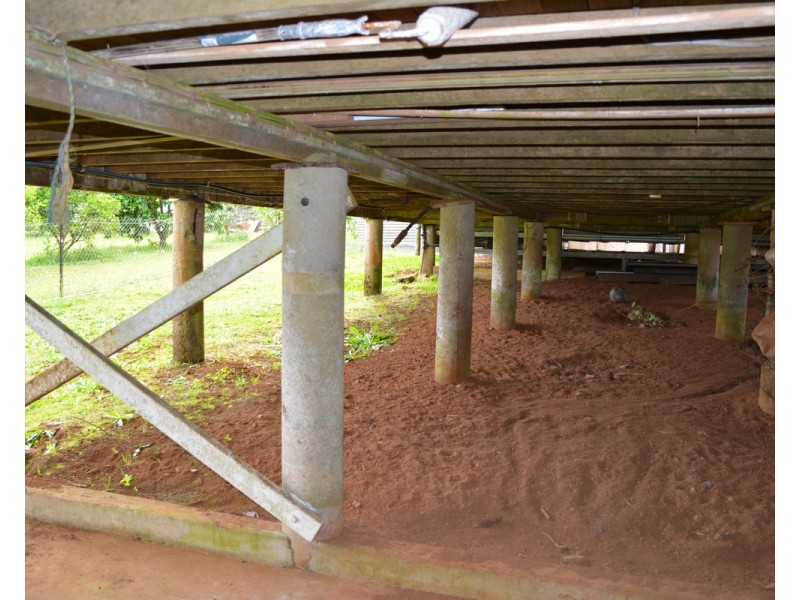 Millaa Millaa QLD 4886