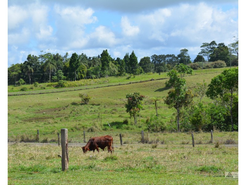 Millaa Millaa QLD 4886