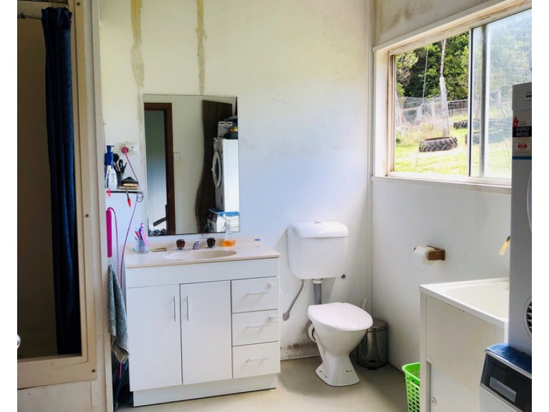 Millaa Millaa QLD 4886