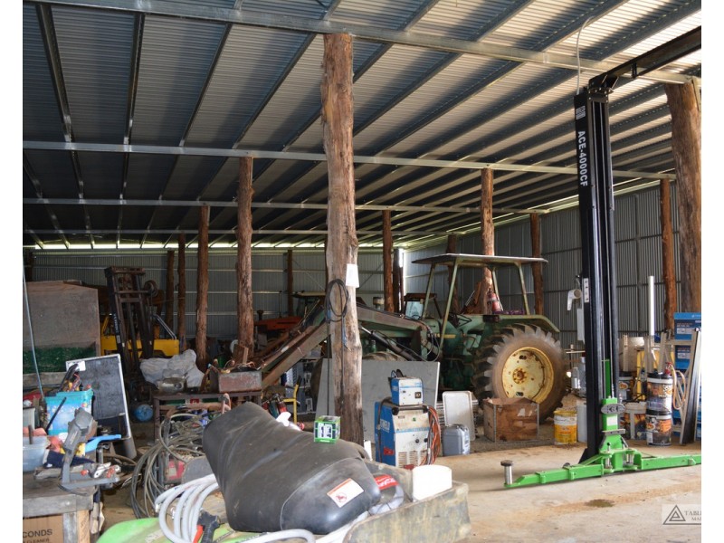 Millaa Millaa QLD 4886