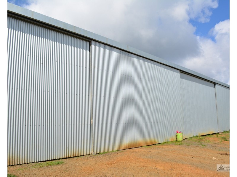 Millaa Millaa QLD 4886