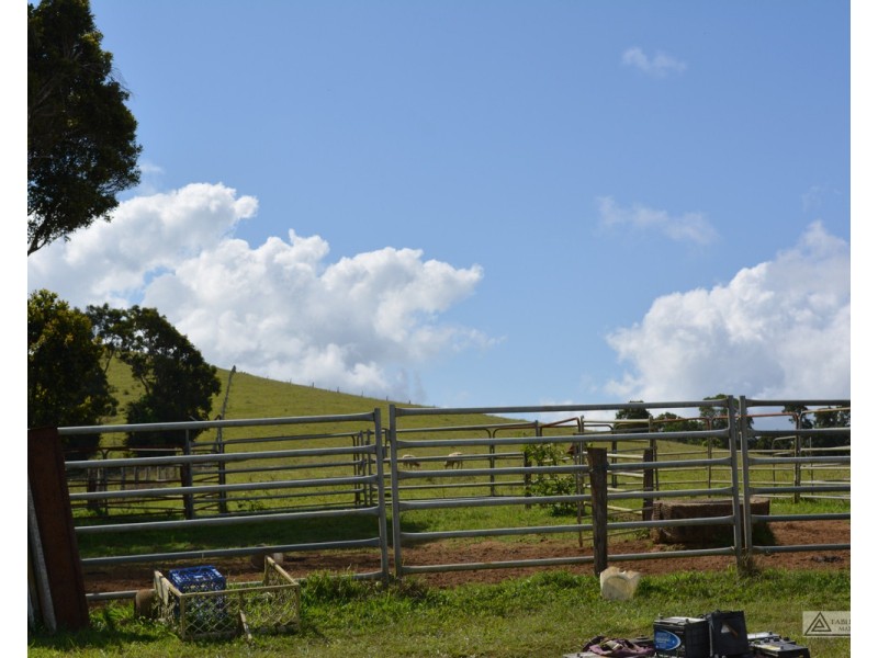 Millaa Millaa QLD 4886