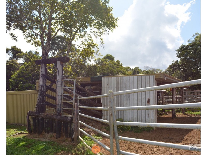 Millaa Millaa QLD 4886