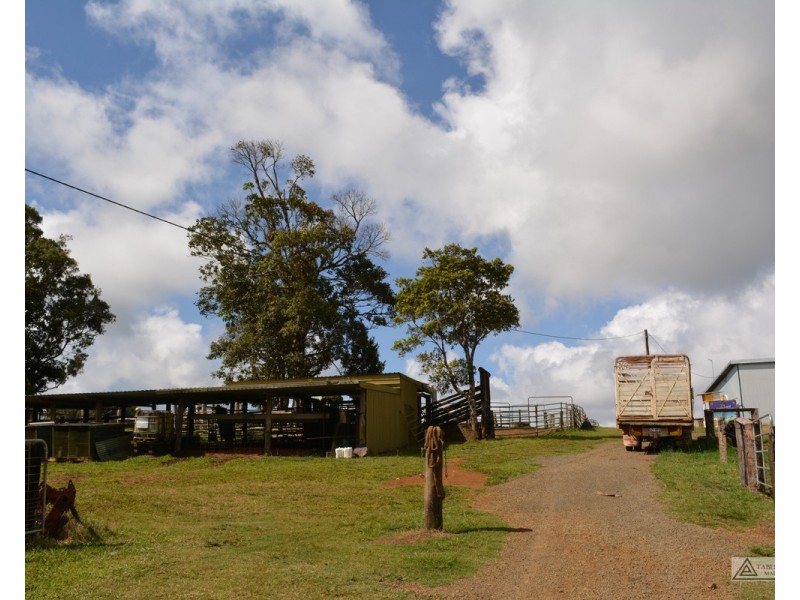 Millaa Millaa QLD 4886