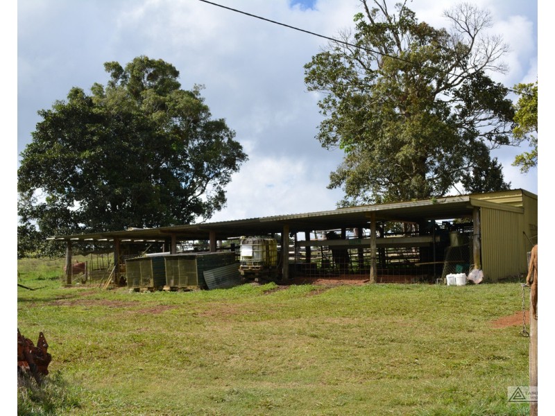 Millaa Millaa QLD 4886