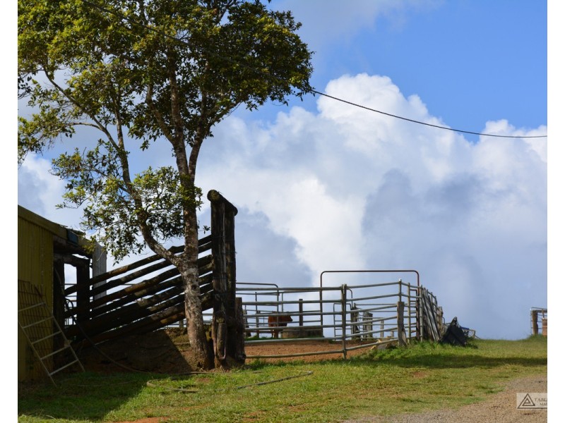 Millaa Millaa QLD 4886