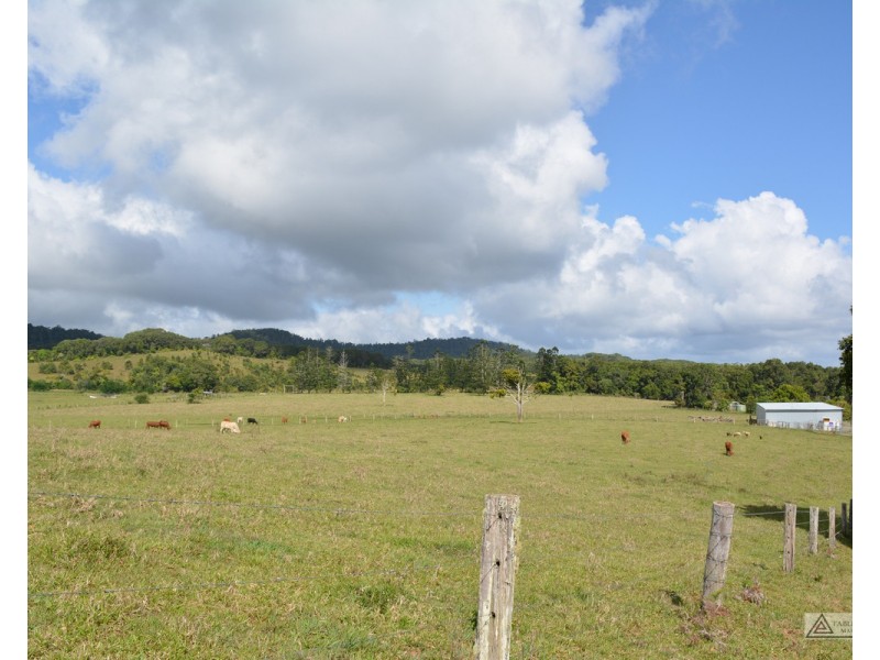 Millaa Millaa QLD 4886