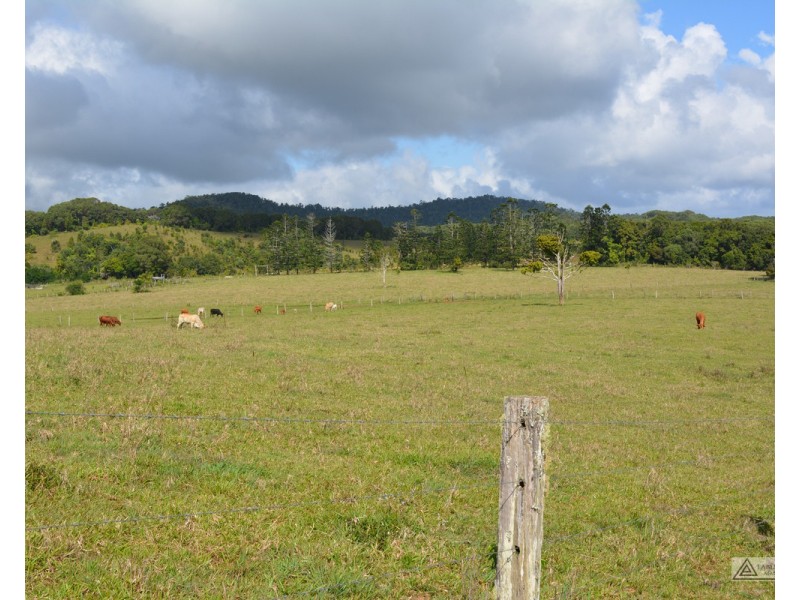 Millaa Millaa QLD 4886