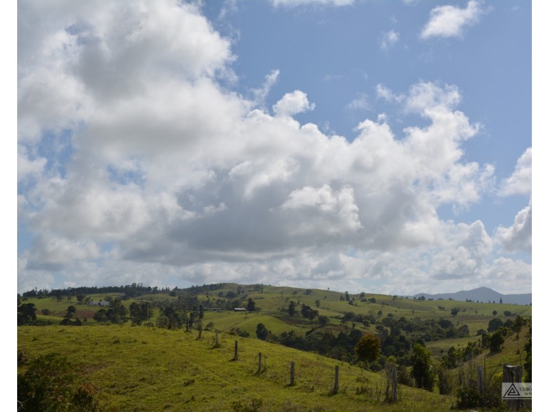 Millaa Millaa QLD 4886
