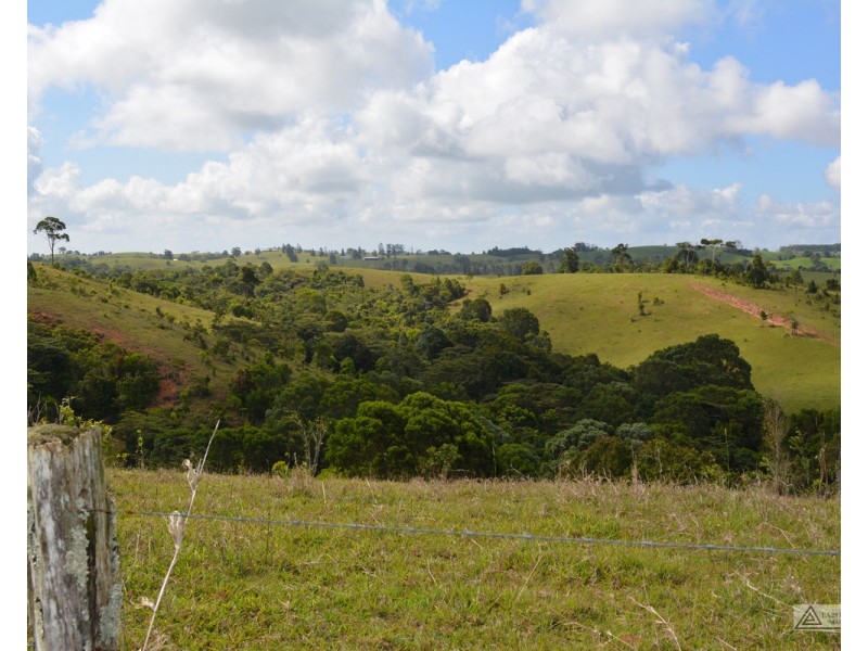 Millaa Millaa QLD 4886