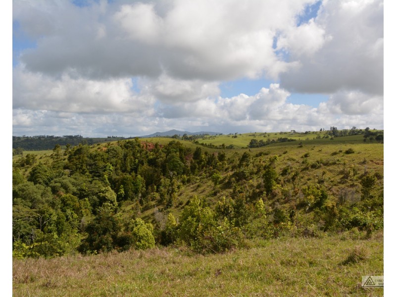 Millaa Millaa QLD 4886